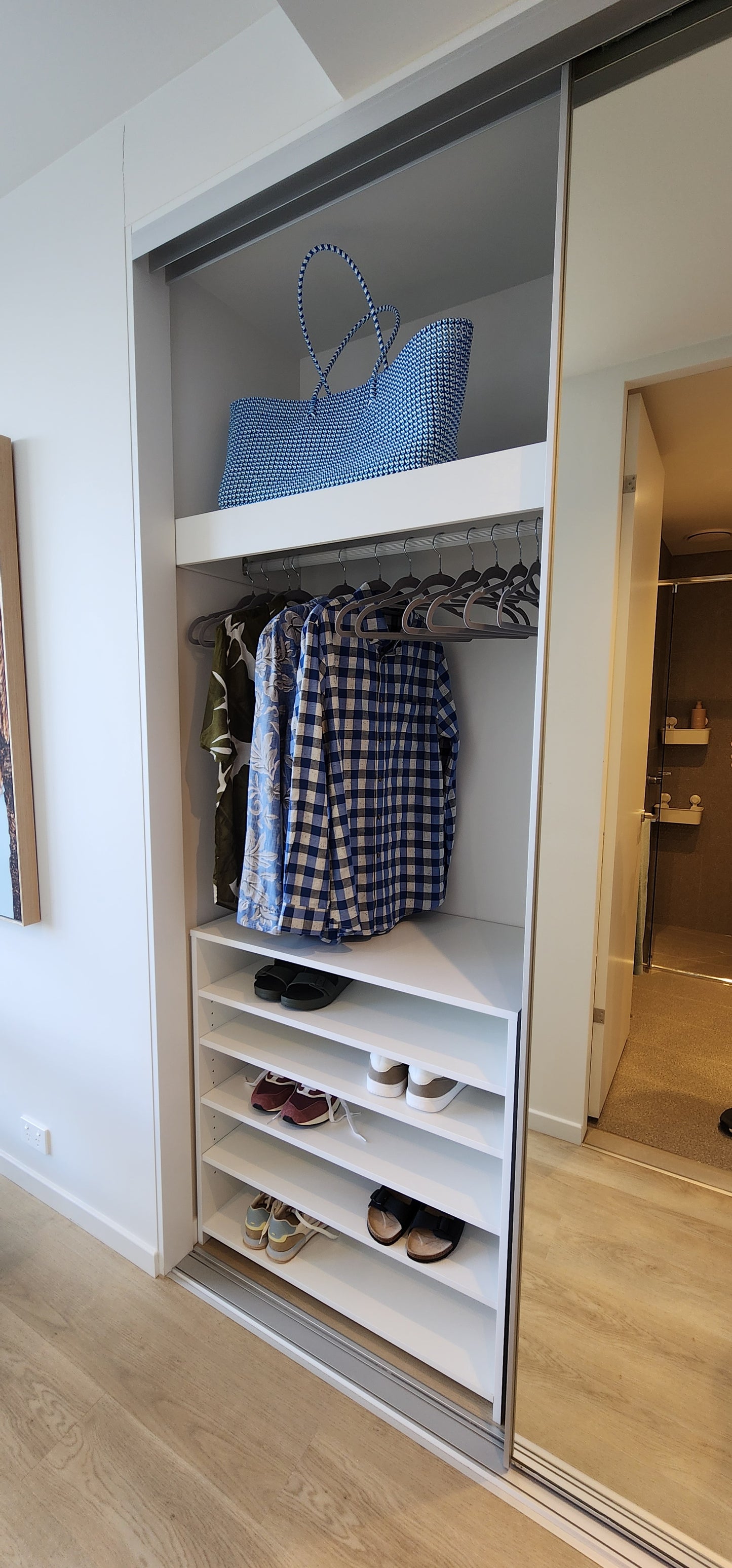 Wardrobe Insert Model 5S