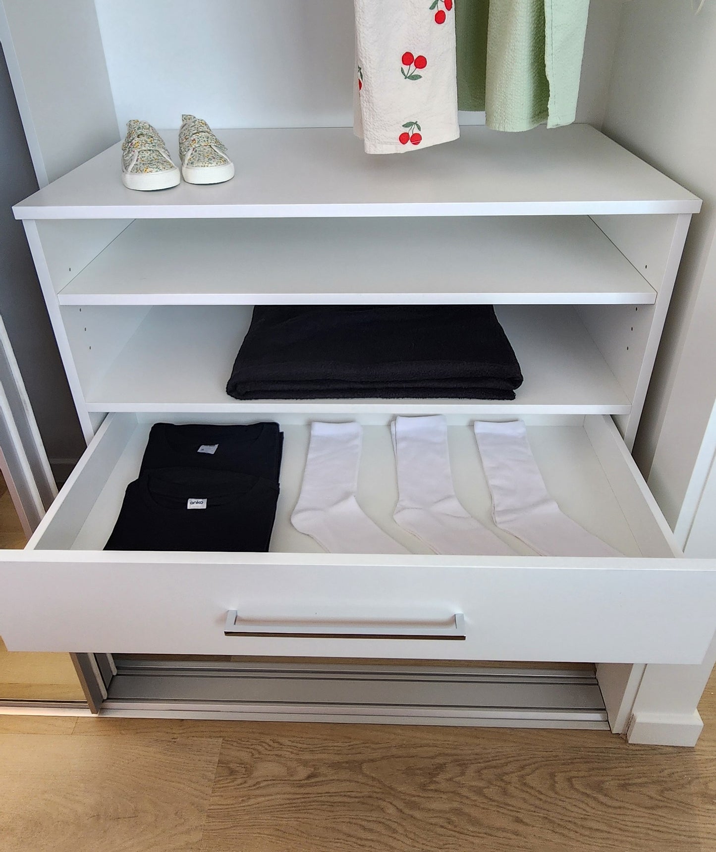 Wardrobe Insert Model 1S/2D